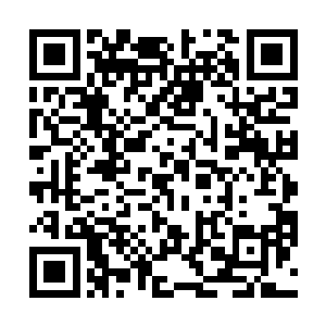 开始强行抢夺被丹田中那一紫一青两道光点吸去的能量二维码生成