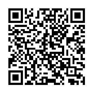 开始意识到一个他不愿承的事实――自己打不过唐劫二维码生成