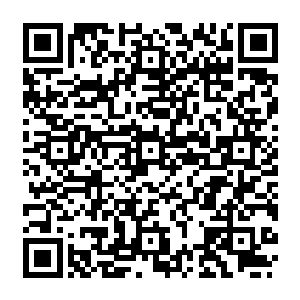 开始把地元水晶在元素界形成的那座晶体山峰上面的地系元素大块大块的紧紧抓住二维码生成