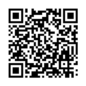 开始拼命的朝着悟道古茶树的位置飞奔二维码生成