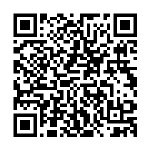 开始接连不断地砸在了那将血袍和尚保护起来的金刚虚影之上二维码生成