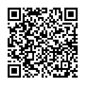 开始播放起了一幕幕明快的风景画不可能有记忆力那么强悍的人二维码生成