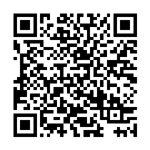 开始的时候由于受黑云的压制龙风身上受了一点伤二维码生成