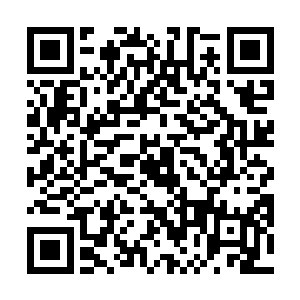 开始的时候自己遇到的乃是一些道君和虚尊境界的围杀二维码生成