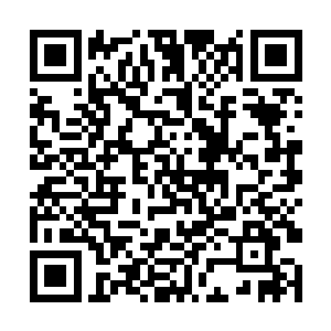 开始的时候长老爷爷是有机会逃走的可是为了保护我二维码生成