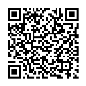 开始的长达两年时间的高速发展状态暂时高一段落二维码生成