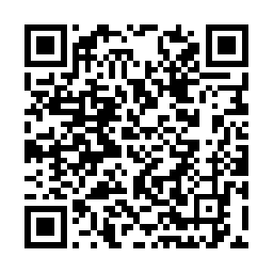 开始眼神一凛――身边不远的女恐怖分子也是同样二维码生成