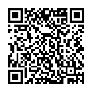 开始通过自己所掌握的各种途径寻找武魂一脉的踪迹二维码生成