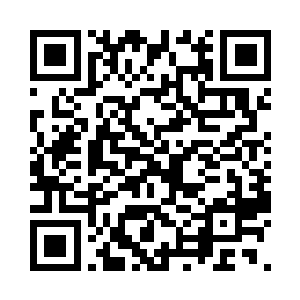 开始钓鱼准鱼用平常的鱼做下一个试验二维码生成