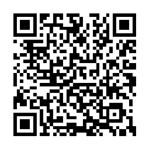 开家博物馆不是弄间房子把东西摆进去就完事的二维码生成