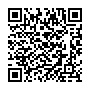 开门的声音也瞬间吸引了不少靠近门口处的宾客二维码生成