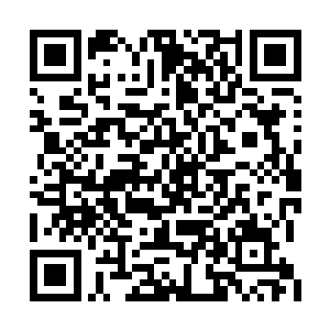 开门的赫然是黄埔云一直想要撮合成二嫂的缪清二维码生成