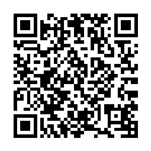 异常熟练地组装出一支快要有他大半个身体长的步枪二维码生成