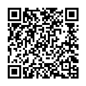 异时空中的陈凌看着这些世界的惨状只能无声地叹气二维码生成