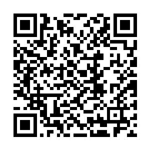 异能革命又怎么可能因为这些人的出现而受到终止二维码生成