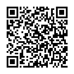 弄到到处都是各种不明的液体和不明的组织碎片二维码生成