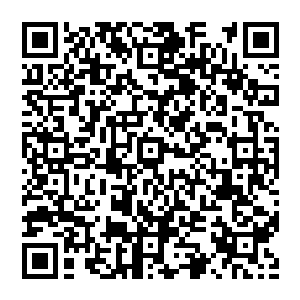 弄得北辰皇几次回北辰皇朝却总是因为舍不得北辰龙而一次又一次割舍不下心爱的孙子而又匆匆安排了朝政二维码生成