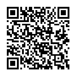 弄得阳和这掌握了法身招式的六窍才刚入前二十二维码生成