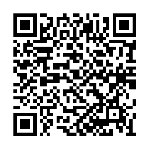 弑神战队的江天幕和两个副总队长以及七个长老二维码生成