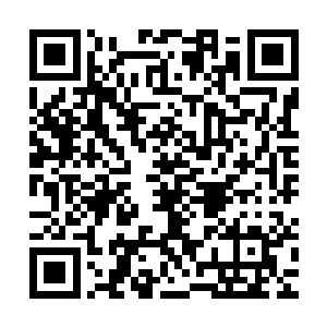 引发了观众们会心的微笑――看起来伊丽莎白的性子一直都很野二维码生成