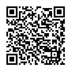 引得圣院大陆的人频频抬头观望这难得一见的一幕二维码生成