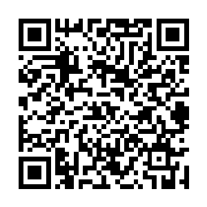 引燃的火堆就在地窖台阶下的角落里熊熊燃烧起来二维码生成