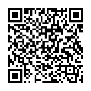 引着五张引雷符对着小白的四周加头顶就凭空引动二维码生成