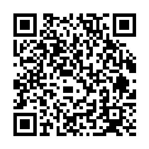 引领了这个时代特有的快速发展新文化精英层所主导的革命二维码生成
