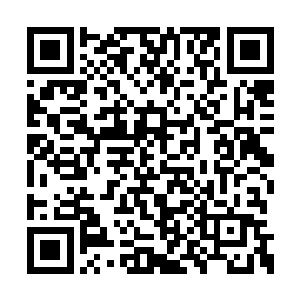 弗兰克在报名时依旧把雨果的名字一起报上去了二维码生成