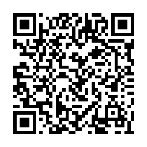 弗兰克指派给他的保镖却把枪口对准了他的脑袋二维码生成