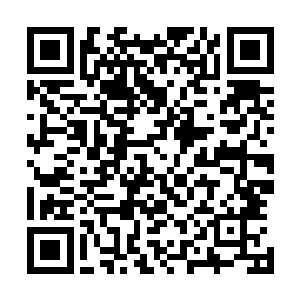 弗兰科在不久前的四月十九日刚刚度过了自己十六岁的生日二维码生成