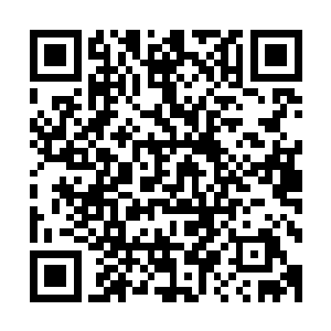 弗洛伊德是在场的这些人里头他唯一一个没有感觉到恶意的人二维码生成