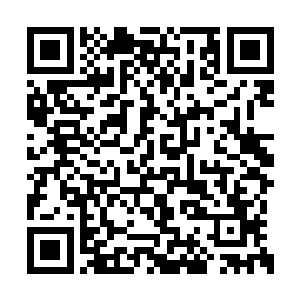 弗洛伦蒂诺感觉自己的脸上仿佛被人打了一耳光二维码生成