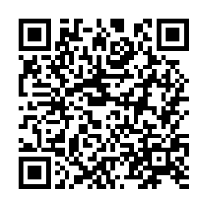 弗洛这边一看也知趣的和自家的船长大副道了声别二维码生成
