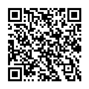 弟子们的宗门福利就只有对应境界所派发的灵石二维码生成