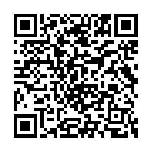 弟子们看着那好似从来没动过的派中黑灰色古塔二维码生成