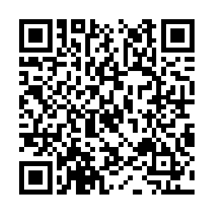 张东城不能给大家带来他是个有头无尾的人的印象二维码生成