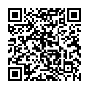 张东城也蛮喜欢这种用另一种身份与别人聊天的感觉二维码生成