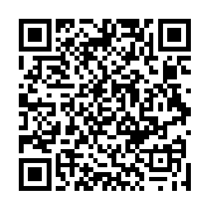 张东城从维多利亚八爪鱼般地纠缠中好不容易才挣脱出来二维码生成