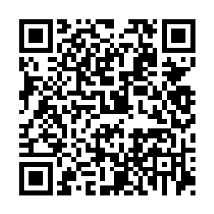 张东城当然不会在这个时候提出什么反对意见来二维码生成