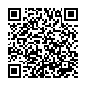 张东城甚至可以把合约期限延长到一个令人无法接受的程度二维码生成