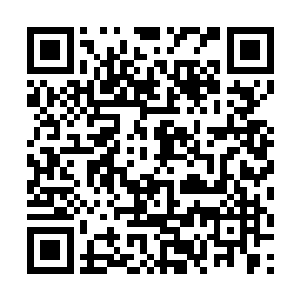 张东城的心中就情不自禁的产生了一股火热的冲动来二维码生成