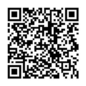 张东城的心里才不会对长的漂亮的女孩有什么特殊之举二维码生成