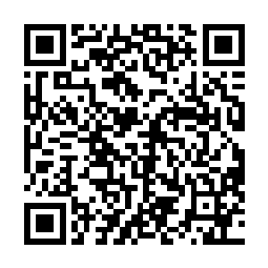 张东城的脑子里可不止有歌舞青春这一部校园类青春电影二维码生成