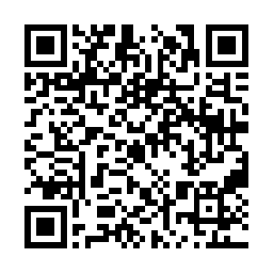 张东城看着被她自己的笑话笑得抱着肚子的斯嘉丽二维码生成