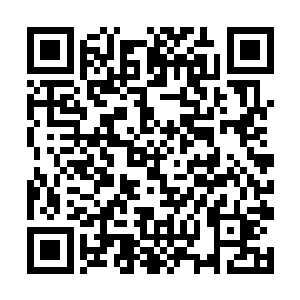 张东城莫名地想到在华夏另一个仿佛堪称奇迹的女孩二维码生成