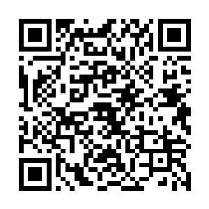 张丽敏现在就怀疑自己上辈子是不是挖过别人家的祖坟二维码生成