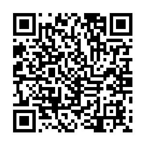 张丽敏觉得孩子从出生压根就没在乔荞的怀里待过一会儿二维码生成