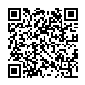 张丽敏觉得高兴的那个劲儿一下子就散的没影子了二维码生成