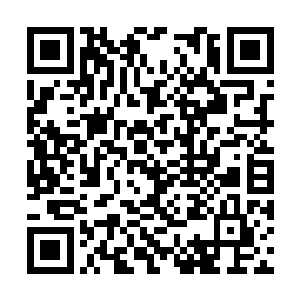 张云峰倒也不敢对夏云杰这位师父尊崇的师叔不敬二维码生成